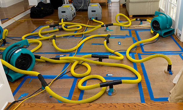 Professional Structural Drying And Dehumidification technician working in Dade City, FL